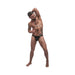 Male Power Pure Comfort Modal Sport Jock Black Lx | SexToy.com