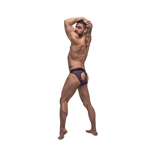 Male Power Airotic Mesh Butt Out Bikini Ppl Medium | SexToy.com