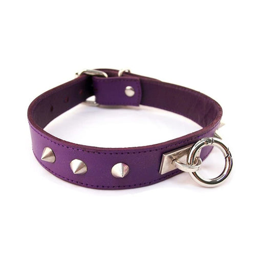 O-Ring Studded Thin Collar - PURPLE | SexToy.com