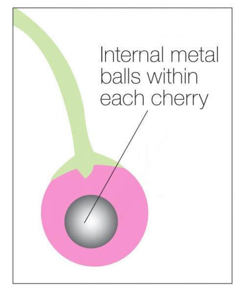 Charming Cherries Silicone Kegel Exercisers | SexToy.com