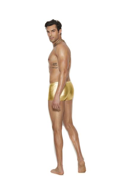 Gold Lame Boxer Brief S/m