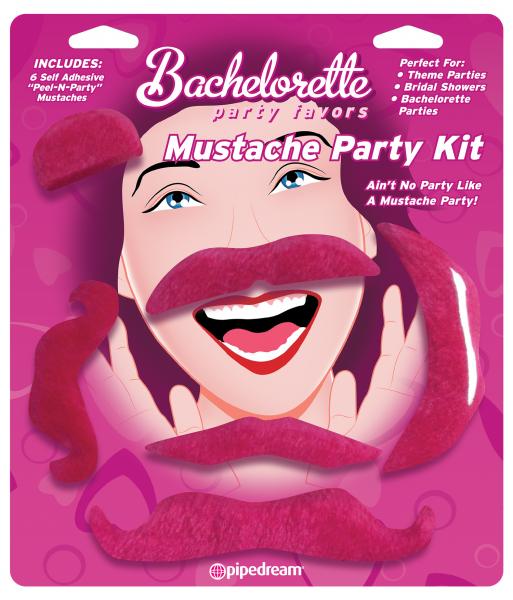 Mustache Party Kit Favors 6 Count Pink | SexToy.com