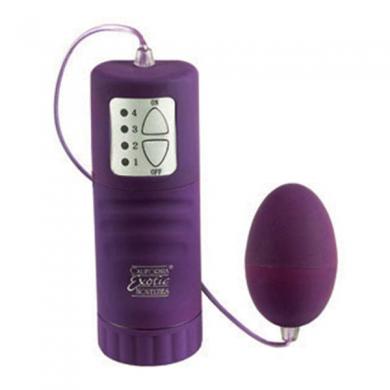 Waterproof Pocket Exotics Egg | SexToy.com