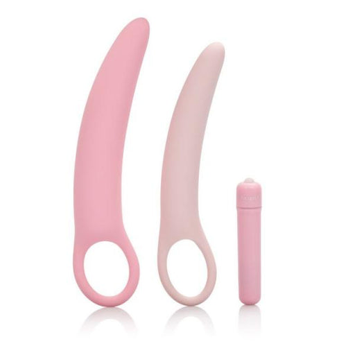 Inspire Vibrating Dilator Kit Pink | SexToy.com