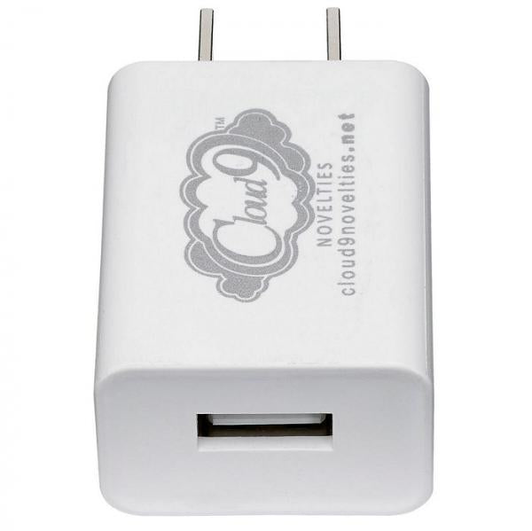 Cloud 9 USB 1 Port Adapter Charger For Vibrators