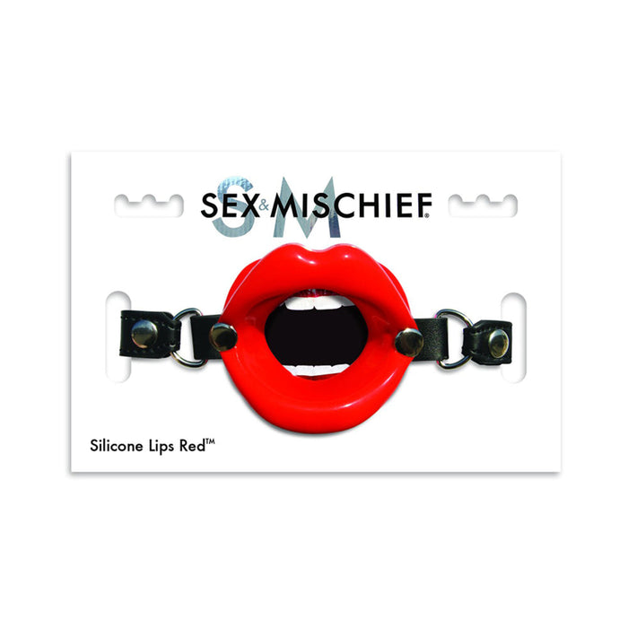 Sex & Mischief Mouth Gag | SexToy.com
